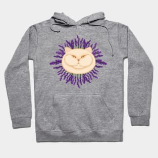 Lavender cat. Cute cat with flowers Hoodie